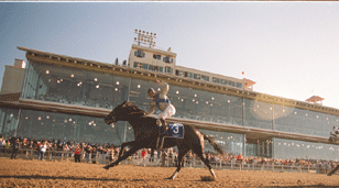 Fairgrounds race